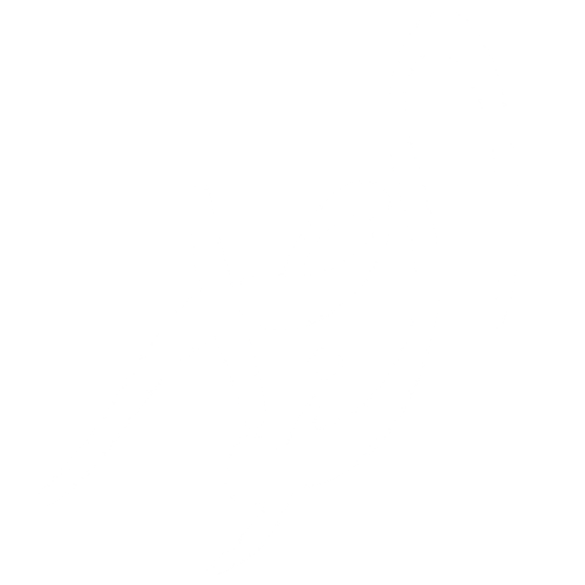 النواصر